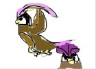 My bad drawing of Pidgeotto and Pidgeot