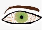 eye