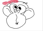 monkey