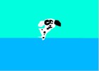 funny dalmation dog fish