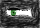 The Eye