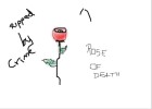 rose of death