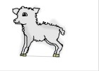 lamb