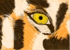 eye of the tiger