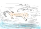 The gecko