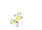 Gecko