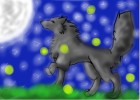 wolf at night     read dicription!!!!!