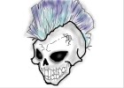 Drawing Skull