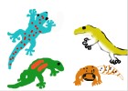 geckos