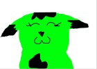 kitty :3
