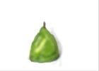 Avocado Pear