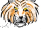 tiger