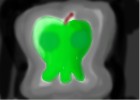 apple skall
