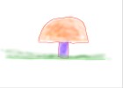 Kool fogy mushroom