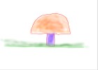 Kool fogy mushroom