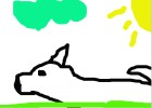 wolf