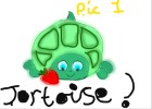 Tortoise!! PLEASE READ ARTIST COMMENTS!