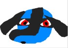 riolu