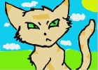 warrior cat with crappy bg