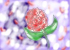 Last Rose
