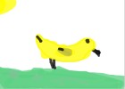 ester chick