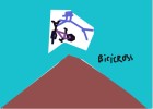 bmx and bicicross