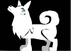 The white wolf