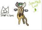 spottedleaf of star clan