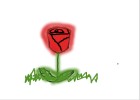 Red Rose