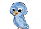 Baby Bluebird