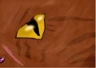 tigerstar's face