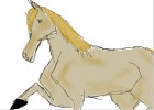 horse