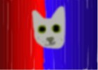 Grey cat