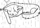 Rainears Sleeping In A Storm
