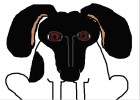 my dog bonnie