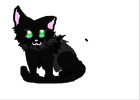 hollyleaf