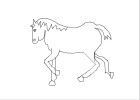 horse