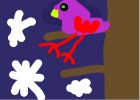 Bird in night!!!  :]