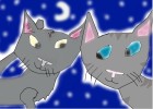 Graystripe & Silverstream- In our own world