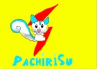 PACHIRISU