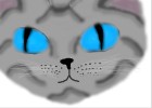 realistic jayfeather