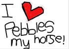 i love pebbles my horse