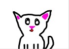 snowpaw!!!!