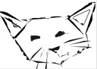how to draw a cat