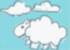 SHEEPS ON SKY