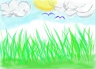 Scenery