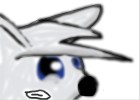 Weird Cute Angry Wolf