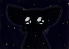 Starclan cat