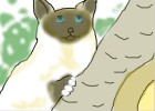 Siamese cat on tree