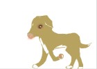 bindi my dead dog..... runned over, WHY!?